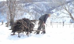 Muş'ta besicilerin asırlık geven otu geleneği sürüyor
