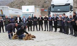 Oltu Belediyesi araç filosunu güçlendirdi