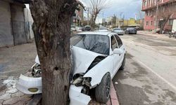 Otomobil ağaca çarptı... O anlar kamerada