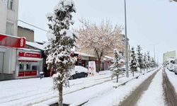 Patnos'ta kar sürprizi: İlçe merkezine 40 cm kar yağdı