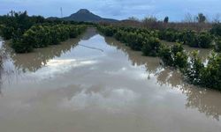 Şiddetli yağış, tarlaları sular altında bıraktı