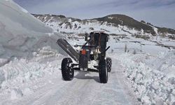 Son yılların en yoğun kar yağışını alan Iğdır'da karla mücadele aralıksız sürüyor