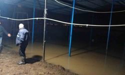 Su baskını sonrası hayvan tahliyesi sürüyor