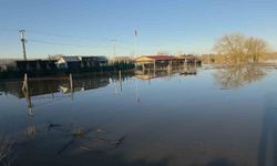 Taşkın sularının kapladığı tarım arazileri buz tuttu