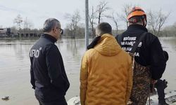 Taşkında mahsur kalan atlar için botlarla seferberlik
