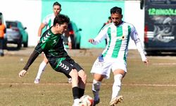 TFF 3. Lig: 12 Bingölspor: 0 - Kırşehir FSK: 1