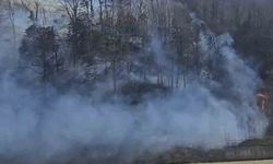 Trabzon'da örtü yangınları
