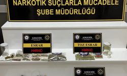 Uyuşturucu operasyonu: 1 tutuklama