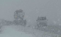 Van Kurubaş Geçidi'nde kar yağışı ve sis etkili oldu