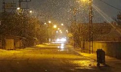 Van'da lapa lapa kar yağdı