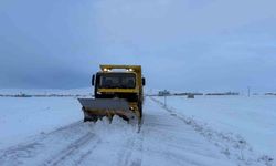 Yoğun kar nedeniyle kapanan 195 mahalle yolu ulaşıma açıldı