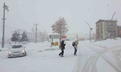 Yoğun kar yağışı