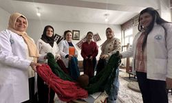 Yüksekova'da kadınların sabrı motiflere dönüşüyor: Yünün kilim yolculuğu