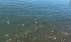 Zonguldak sahilinde çöp tepkisi