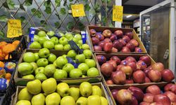 Iğdır’da Elma “Lüks” Oldu: Kilo Gitti, Tane Devri Başladı!