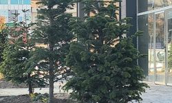 HAYDAR ALİYEV PARKI’NDA GERİ SAYIM