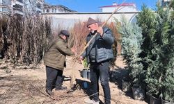 Iğdır’da Toprakla Buluşma Zamanı: Fidan Satışları Başladı!