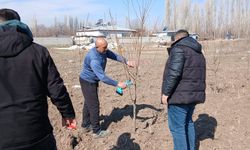 IĞDIR’DA MEYVE ÜRETİCİLERİNE “SAHADA” BUDAMA EĞİTİMİ
