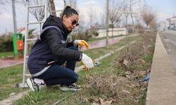 Yeşil Kuşak Yürüyüş Yolunda Bahar Bakımı Başladı