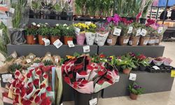 IĞDIR’DA 8 MART HAREKETLİLİĞİ: VİTRİNLER VE TEZGAHLAR ÇİÇEKLERLE SÜSLENDİ