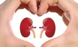 IĞDIR’DA DÜNYA BÖBREK GÜNÜ: “SAĞLIKLI ÇEVRE, SAĞLIKLI BÖBREKLER”