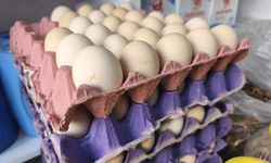 IĞDIR’DA NEVRUZ BEREKETİ: YUMURTA SATIŞLARI ZİRVEYE ÇIKTI