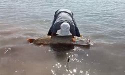 65 Kilo ağırlığında turna balığı yakaladı