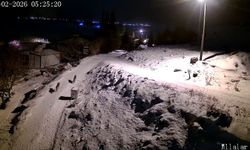 Aç kalan kurtlar köye indi