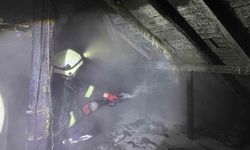 Bacadan çıkan yangın 2 katlı evin çatısını sardı