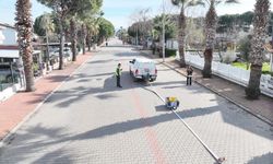 BALDEP Projesi Altınova Sahili'nde sürüyor