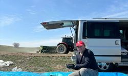 Beypazarı'nda çörek otu ekimi başladı