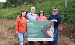 Cinayete kurban giden kadınlar anısına fidan dikildi