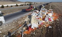 Devrilen tırda 27 ton havuç ziyan oldu
