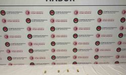 Habur'da tırda yapılan aramada, yaklaşık 14.6 milyon liralık altın ele geçirildi