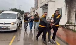 Haftada 1 gün barınak temizleyecekler