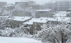 Hakkari'de kar yağışı