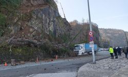 Heyelan: Yamaçtan kopan kayalar tırda hasara yol açtı