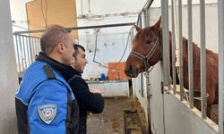 Kars'ta özel öğrenciler için anlamlı etkinlik