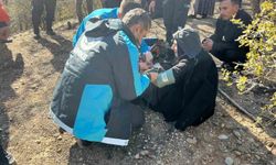 Kaybolan yaşlı kadın  bulundu