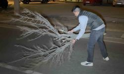 Kaza sonrası cam ve plastik parçalarıyla dolan yolu vatandaş kırılan ağaçla böyle temizledi