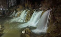 Mevsimlerin ötesinde bir güzellik