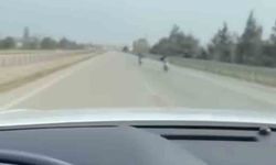 Motor üstünde yatarak tehlikeli yolculuk