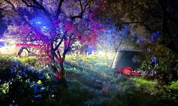 Mudanya'da kazadan kaçan sürücü zeytinliğe daldı