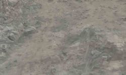 Nesli tükenme tehlikesi altında bulunan dağ keçileri sürü halinde görüntülendi