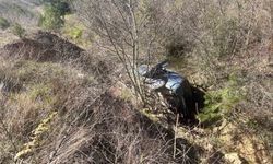 Otomobil dereye uçtu, 1 kişi yaralandı