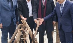 Patnos'ta baharın coşkusu: Nevruz ateşi birlik için yandı