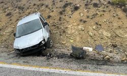 Ticari araç şarampole savruldu