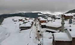 Yaylalarda görsel şölen