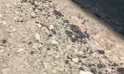 Yeni yapılan yolun tehlike oluşturduğu iddiası