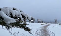 Iğdır Kar Yağışıyla Beyaza Büründü